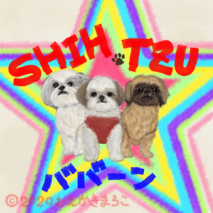 Star shihTzu sentai シーズー戦隊