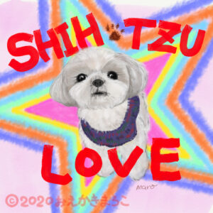 Star Shih Tzu LOVE１